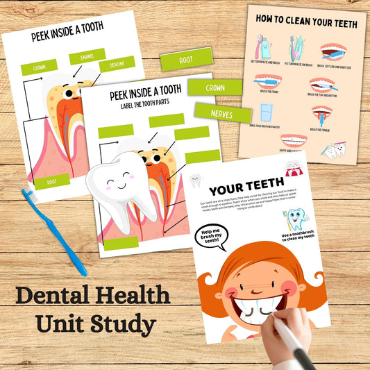 Dental Health Kids Busy Book Printable Human Tooth Anatomy Worksheet Homeschool Curriculum Montessori Resource Toddler Learning Binder Kids