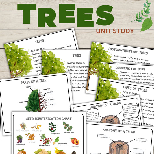Tree Unit Study Bundle | Charlotte Mason Nature Study | Anatomy of a Tree Trunk & Parts of a Tree | Homeschool Learning Activities Printable