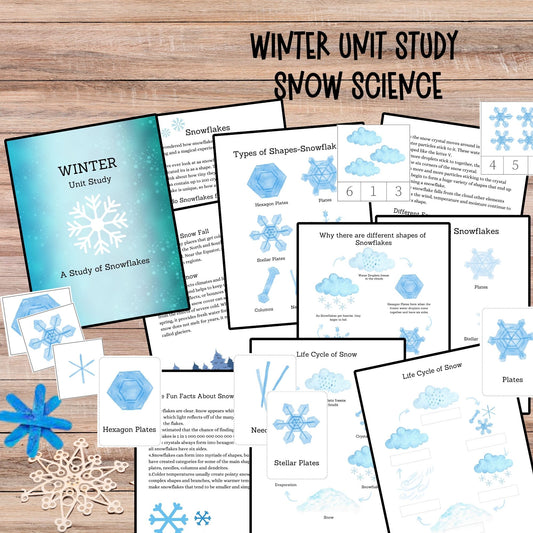 Snow Unit Study Snowflakes Printable Resources Homeschool Learning Bundle Winter Kids Activity Life Cycle of Snow Preschool Curriculum kids