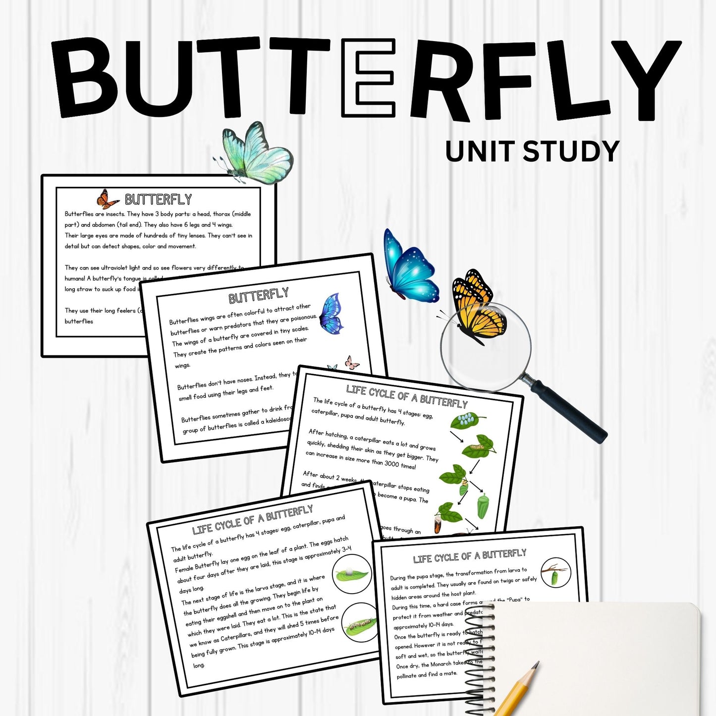 Butterfly Unit Study Bundle Charlotte Mason Nature Study Homeschool Learning Materials Educational Prints Butterfly Preschool Busy Binder
