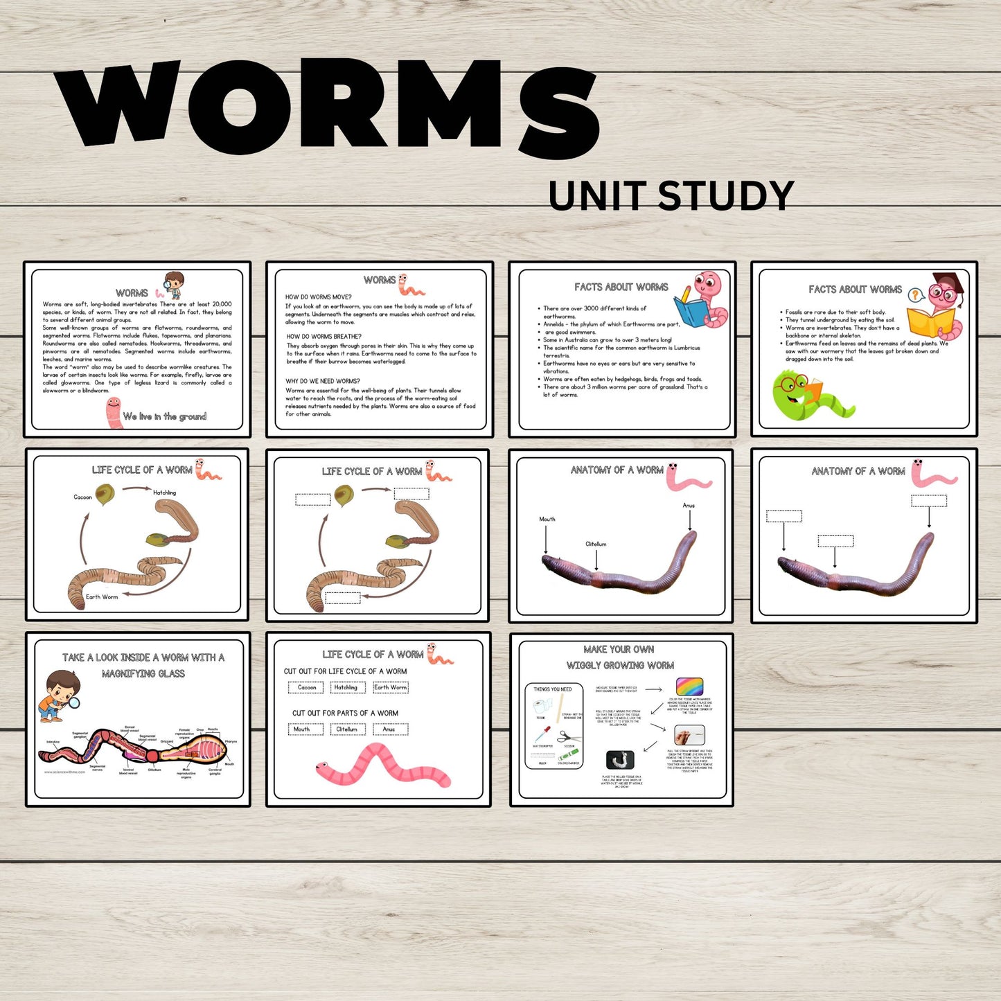 Worms Unit Study Charlotte Mason Printable Resources Homeschool Learning Bundle Nature Study Homeschool Curriculum Educational Activities