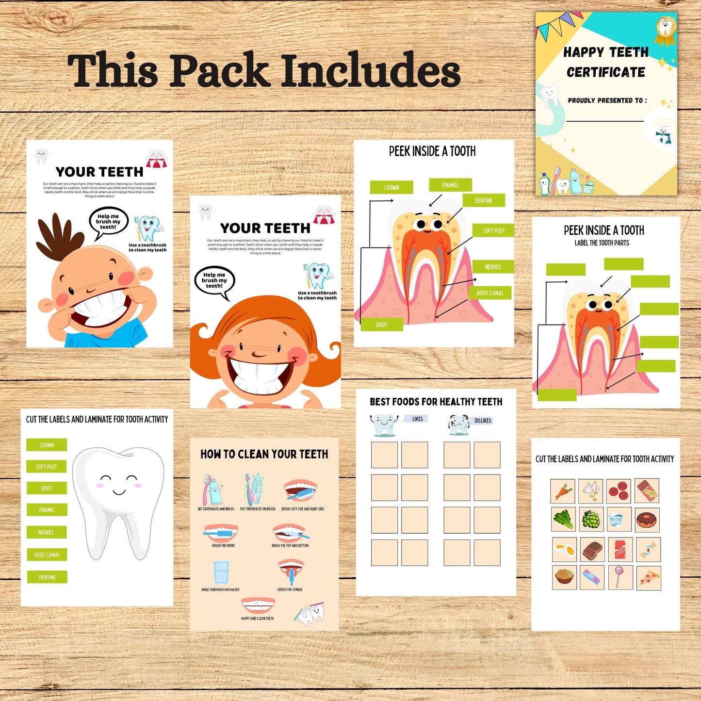 Dental Health Kids Busy Book Printable Human Tooth Anatomy Worksheet Homeschool Curriculum Montessori Resource Toddler Learning Binder Kids