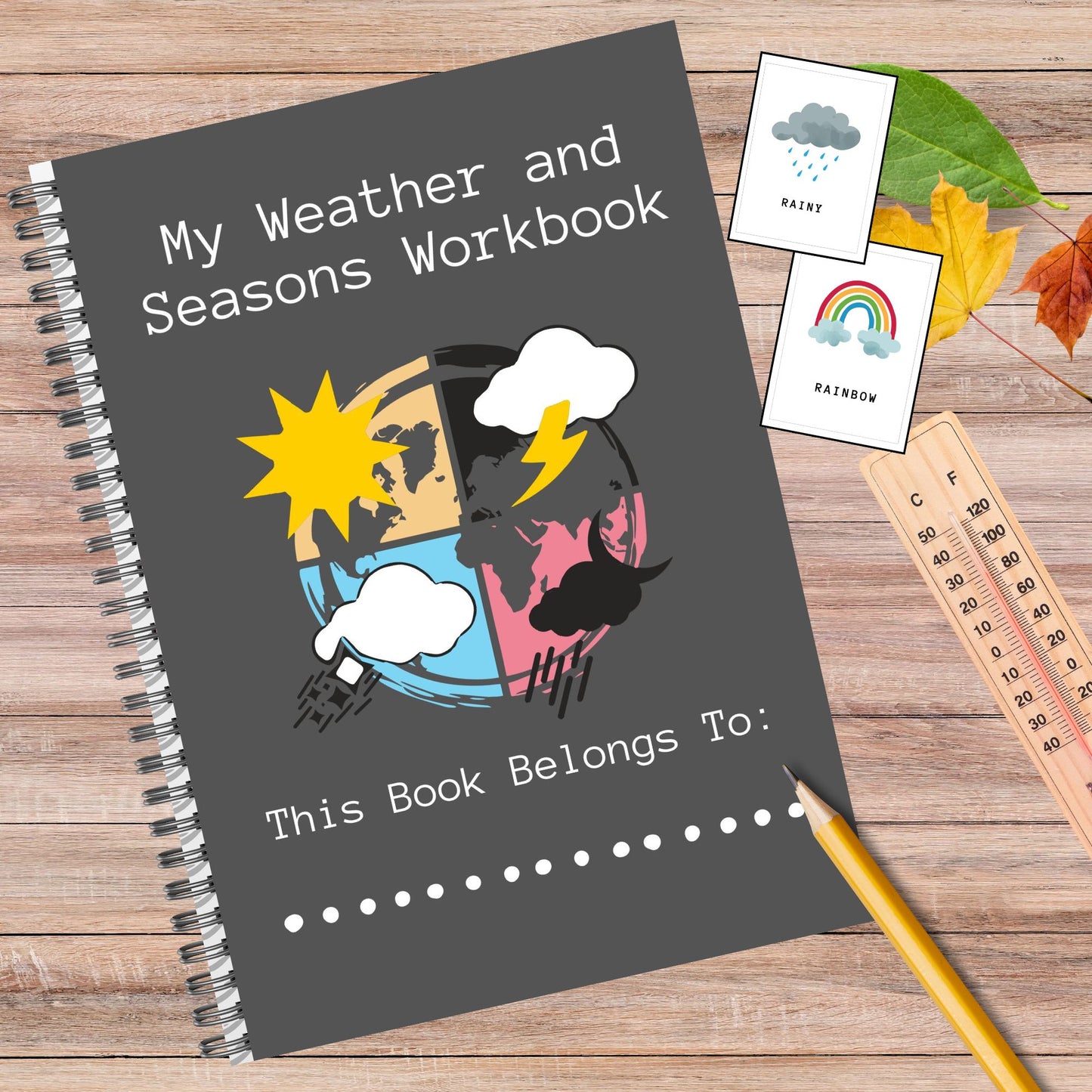 Weather and Seasons Unit Study Homeschool Learning Materials Educational Activities for Kids Temperature Weather Flashcard Season Activities