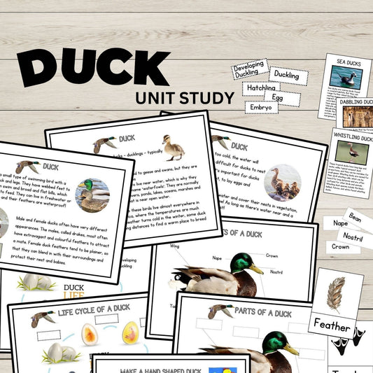 Duck Unit Study Homeschool Learning Material Charlotte Mason Preschool Nature Study Anatomy of a Duck Parts of a Duck Preschool Activity