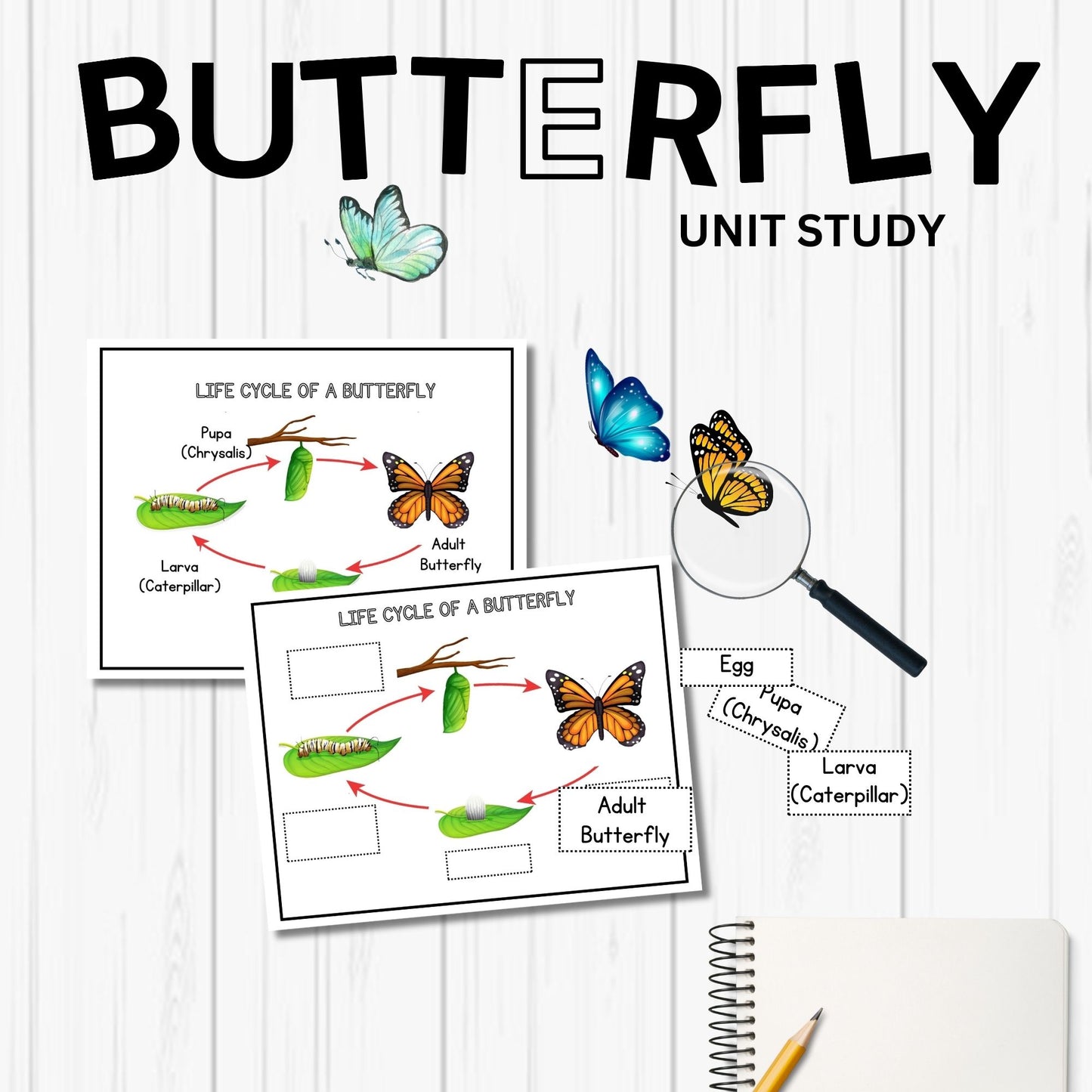 Butterfly Unit Study Bundle Charlotte Mason Nature Study Homeschool Learning Materials Educational Prints Butterfly Preschool Busy Binder