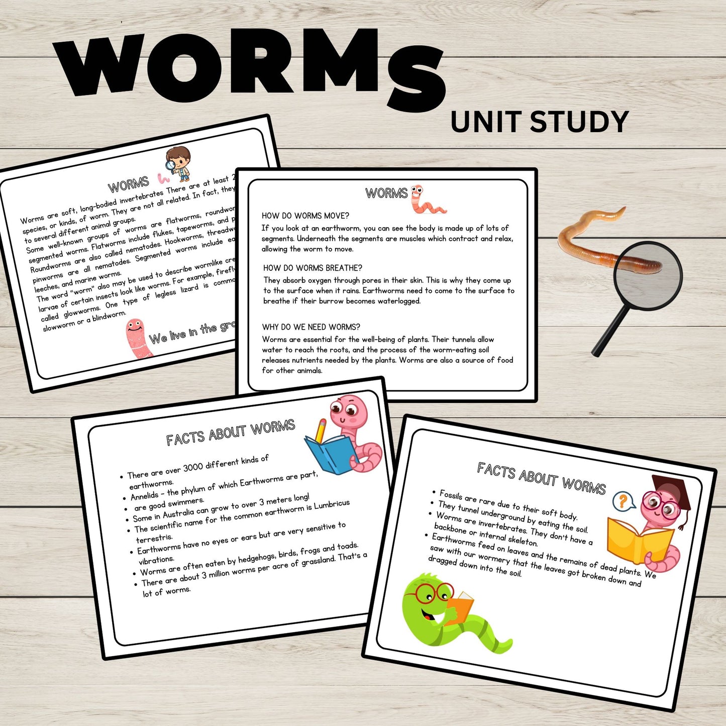 Worms Unit Study Charlotte Mason Printable Resources Homeschool Learning Bundle Nature Study Homeschool Curriculum Educational Activities