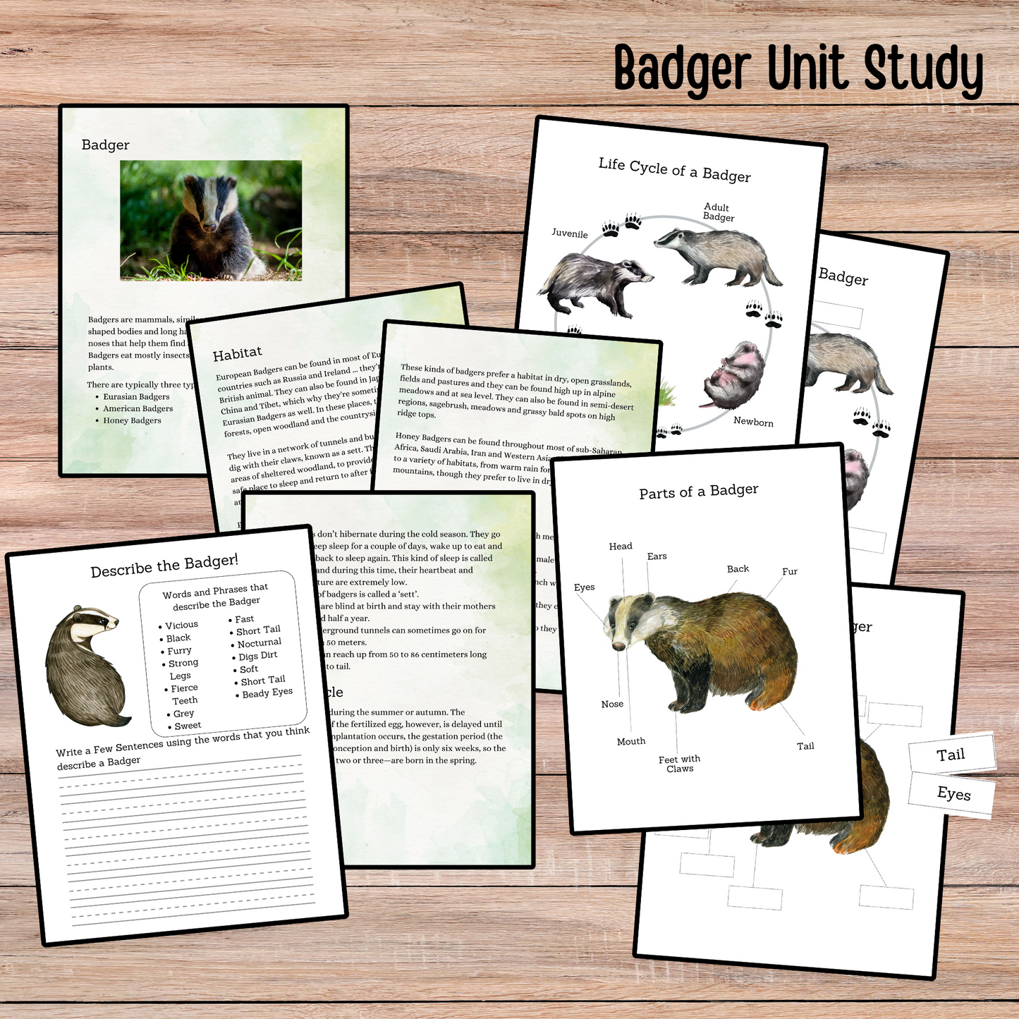 Winter Animals Unit Study Nature Learning Animals Tracks Homeschooling Busy Book Kids Learning Binder Red Fox Duck Badger Unit Study Kids