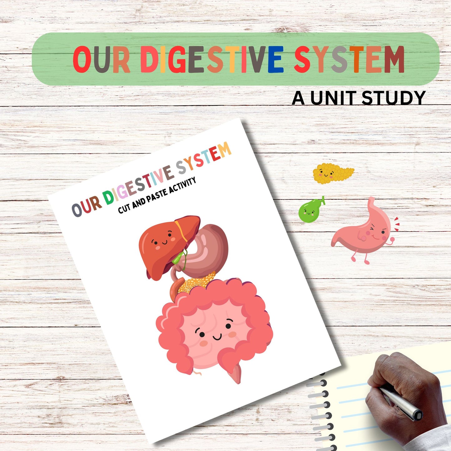 Digestive Adventure Unit Study | Kid-Friendly Digestive System Unit Study | Fun & Engaging Activities for Learning Digestion