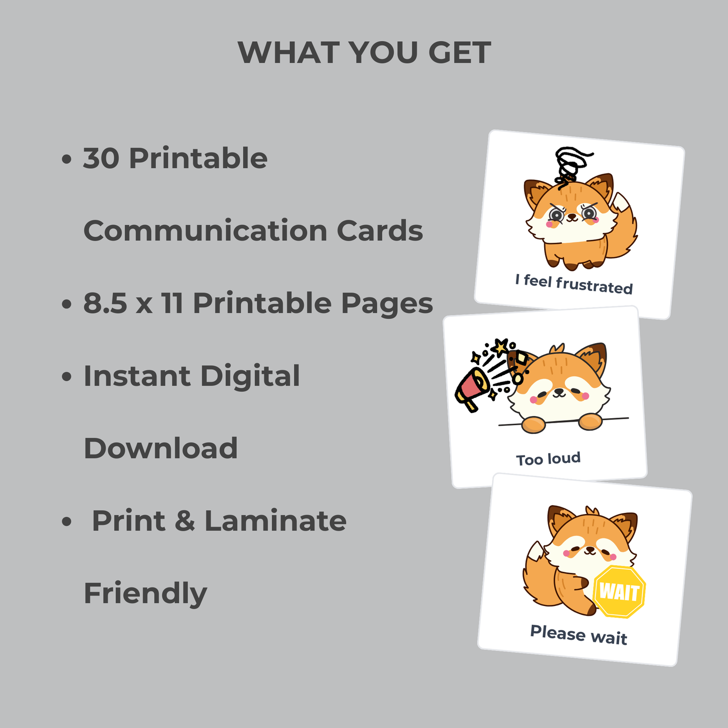 Autism Behavior & Needs Cards | Printable Visual Communication Cards for Kids