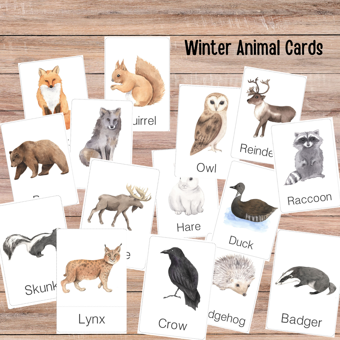 Winter Animals Unit Study Nature Learning Animals Tracks Homeschooling Busy Book Kids Learning Binder Red Fox Duck Badger Unit Study Kids