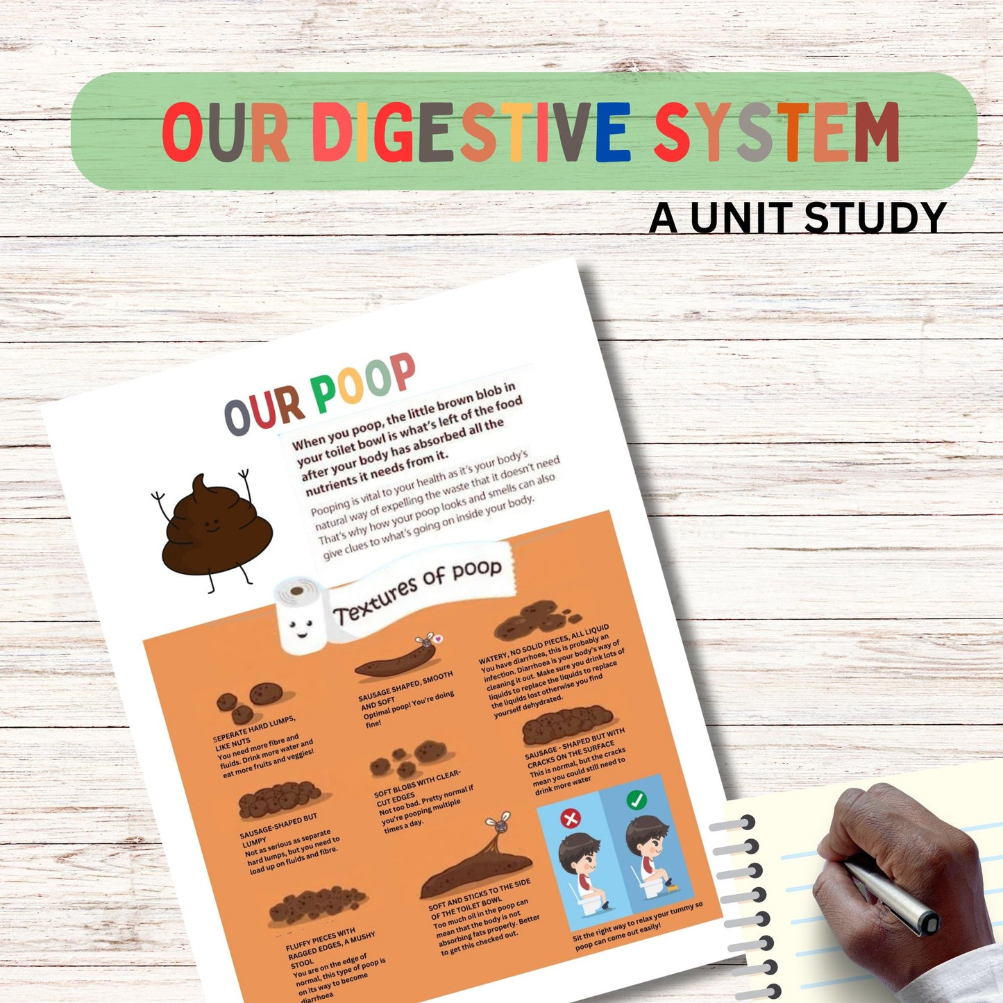 Digestive Adventure Unit Study | Kid-Friendly Digestive System Unit Study | Fun & Engaging Activities for Learning Digestion