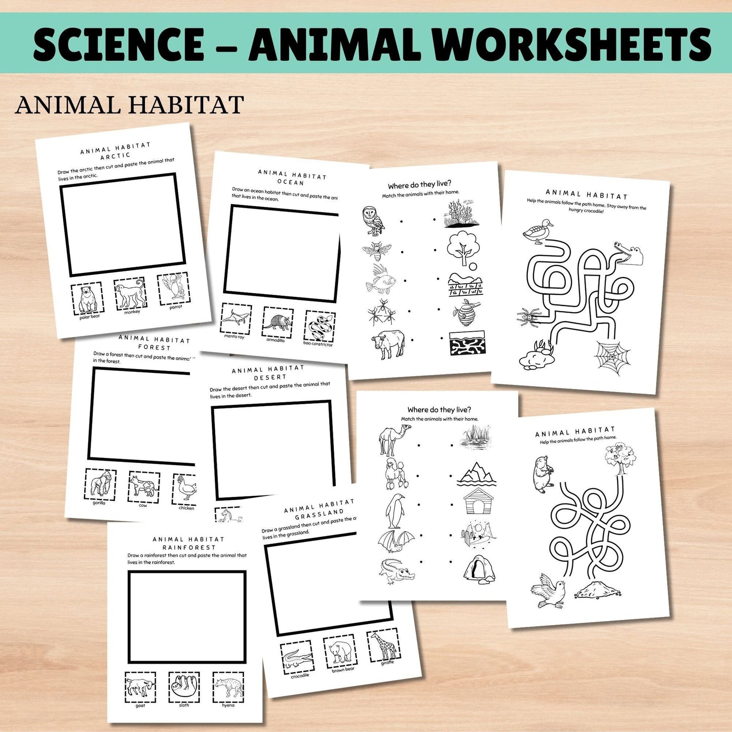 Science Curriculum for Kids | Animals Busy Book | Homeschool Learning Binder | Interactive Science Unit for Grade 1 & 2 | Homeschool Resources
