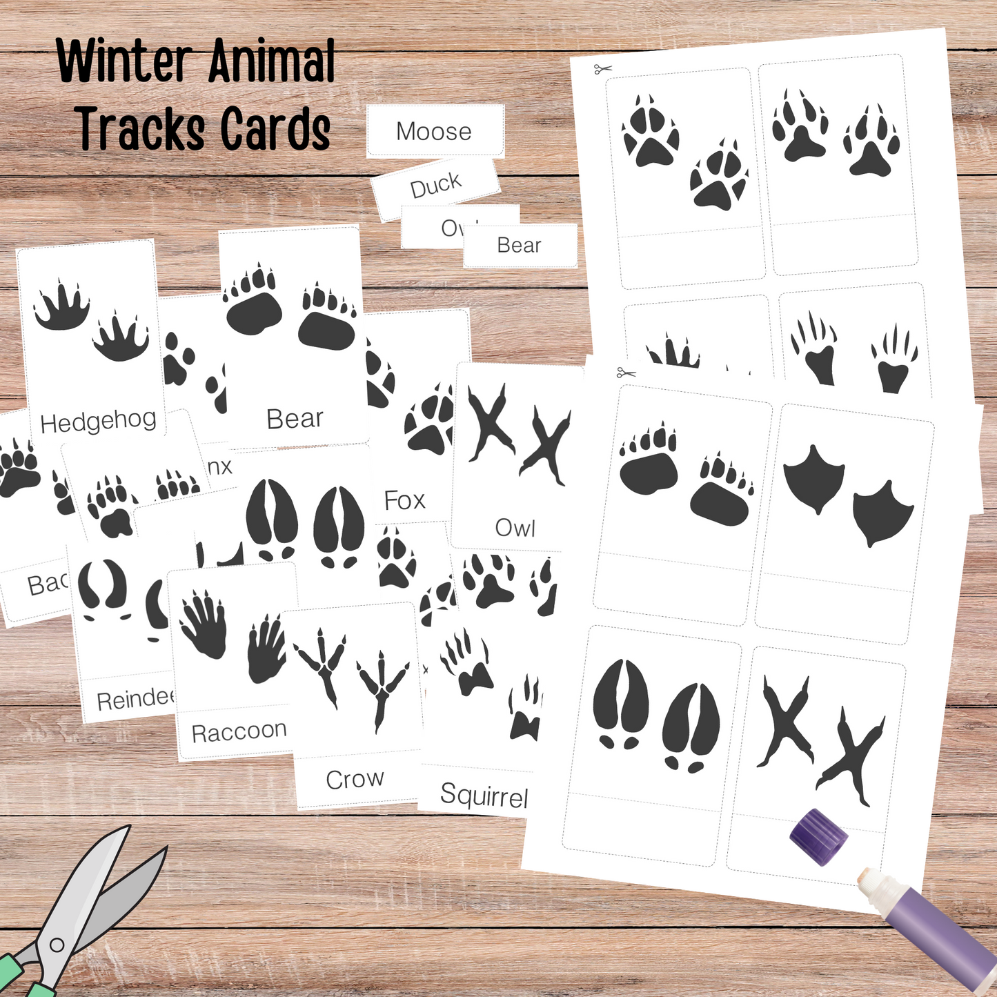 Winter Animals Unit Study Nature Learning Animals Tracks Homeschooling Busy Book Kids Learning Binder Red Fox Duck Badger Unit Study Kids