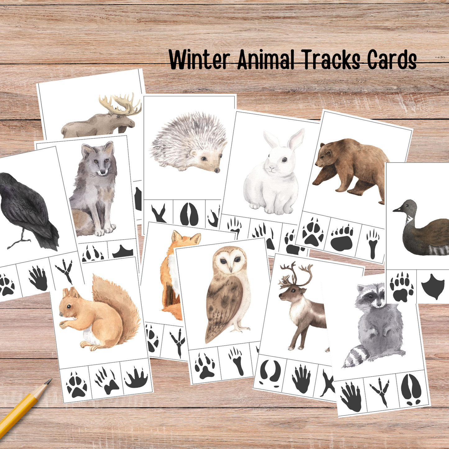 Winter Animals Unit Study Nature Learning Animals Tracks Homeschooling Busy Book Kids Learning Binder Red Fox Duck Badger Unit Study Kids