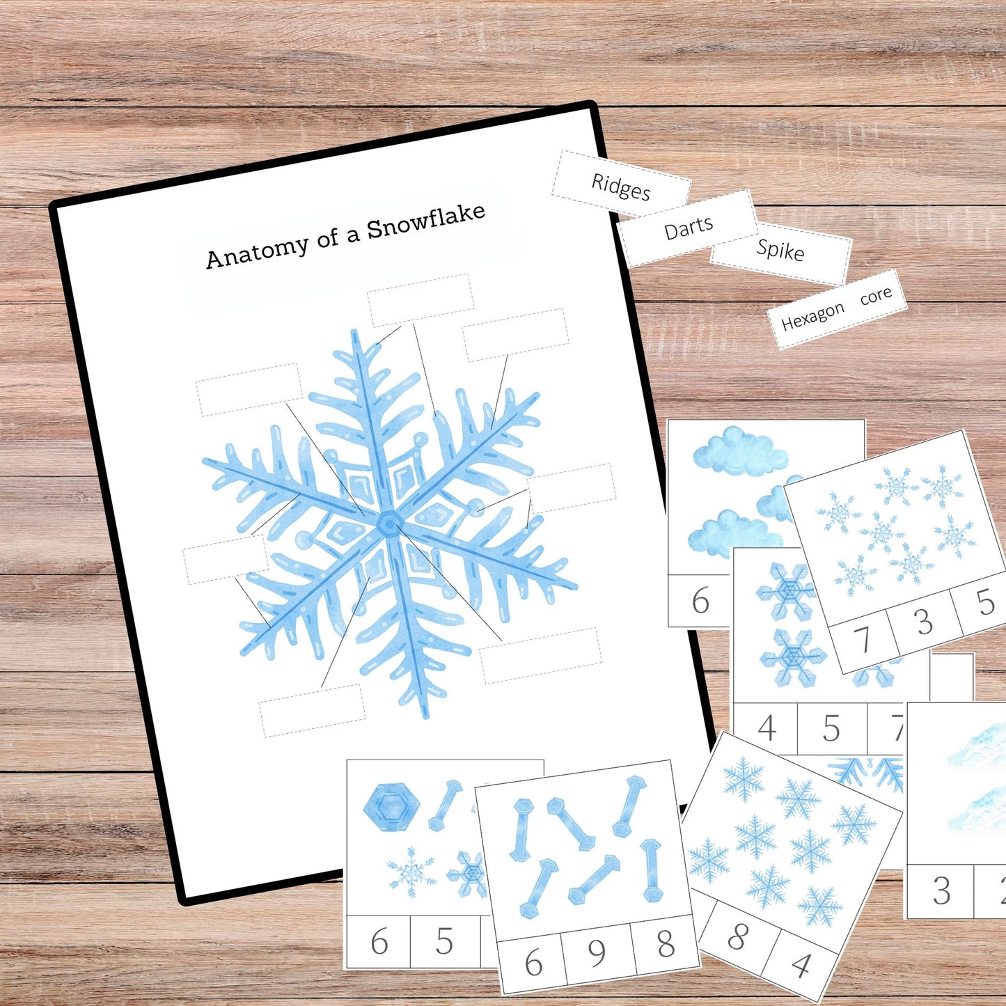 Snow Unit Study Snowflakes Printable Resources Homeschool Learning Bundle Winter Kids Activity Life Cycle of Snow Preschool Curriculum kids