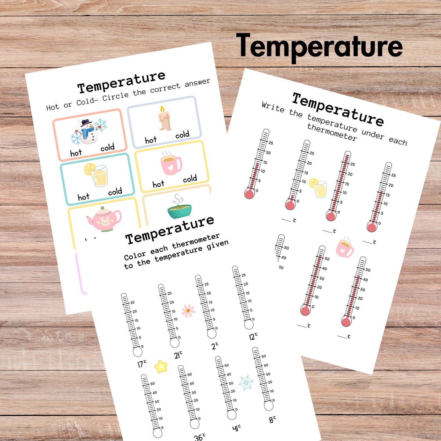 Weather and Seasons Unit Study Homeschool Learning Materials Educational Activities for Kids Temperature Weather Flashcard Season Activities