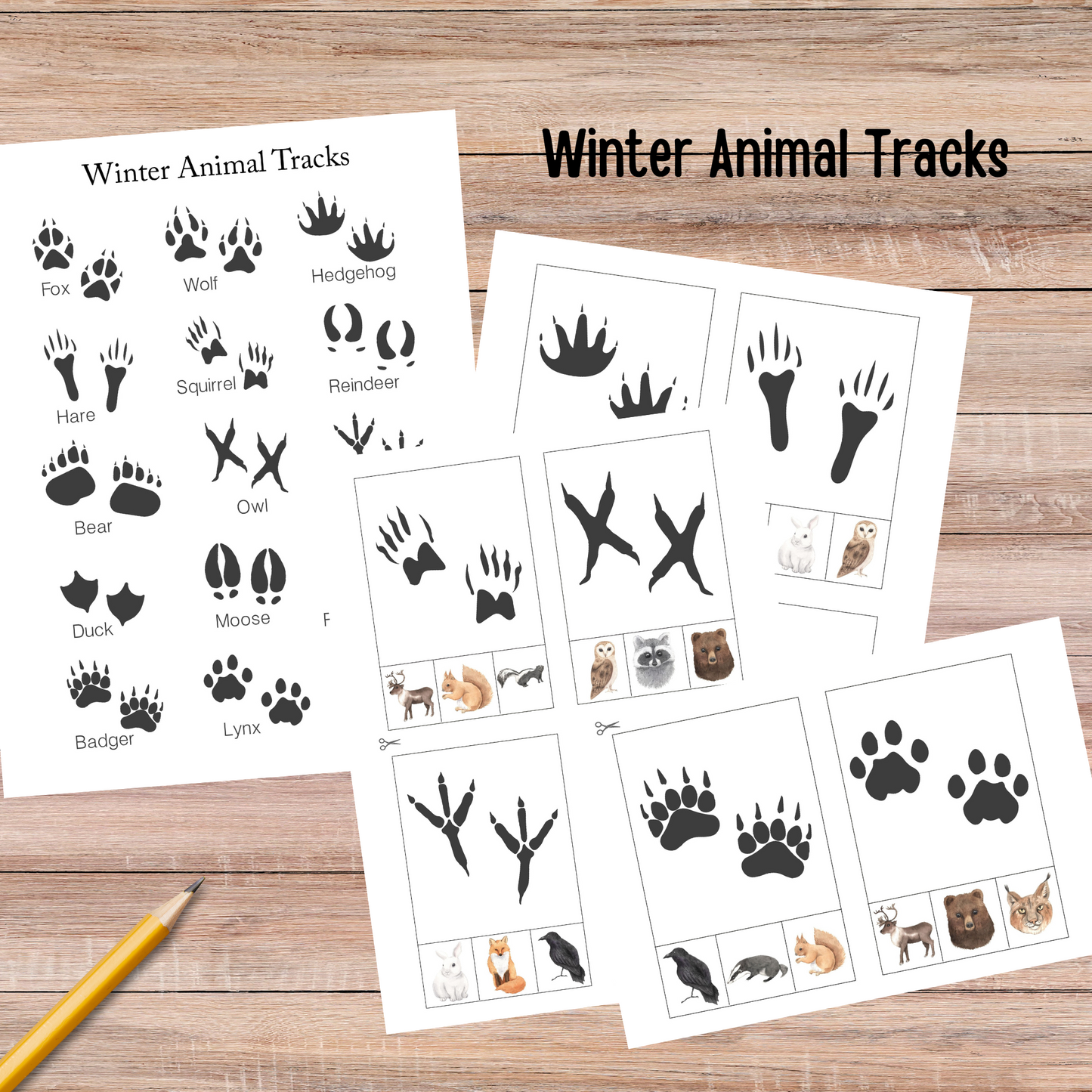 Winter Animals Unit Study Nature Learning Animals Tracks Homeschooling Busy Book Kids Learning Binder Red Fox Duck Badger Unit Study Kids