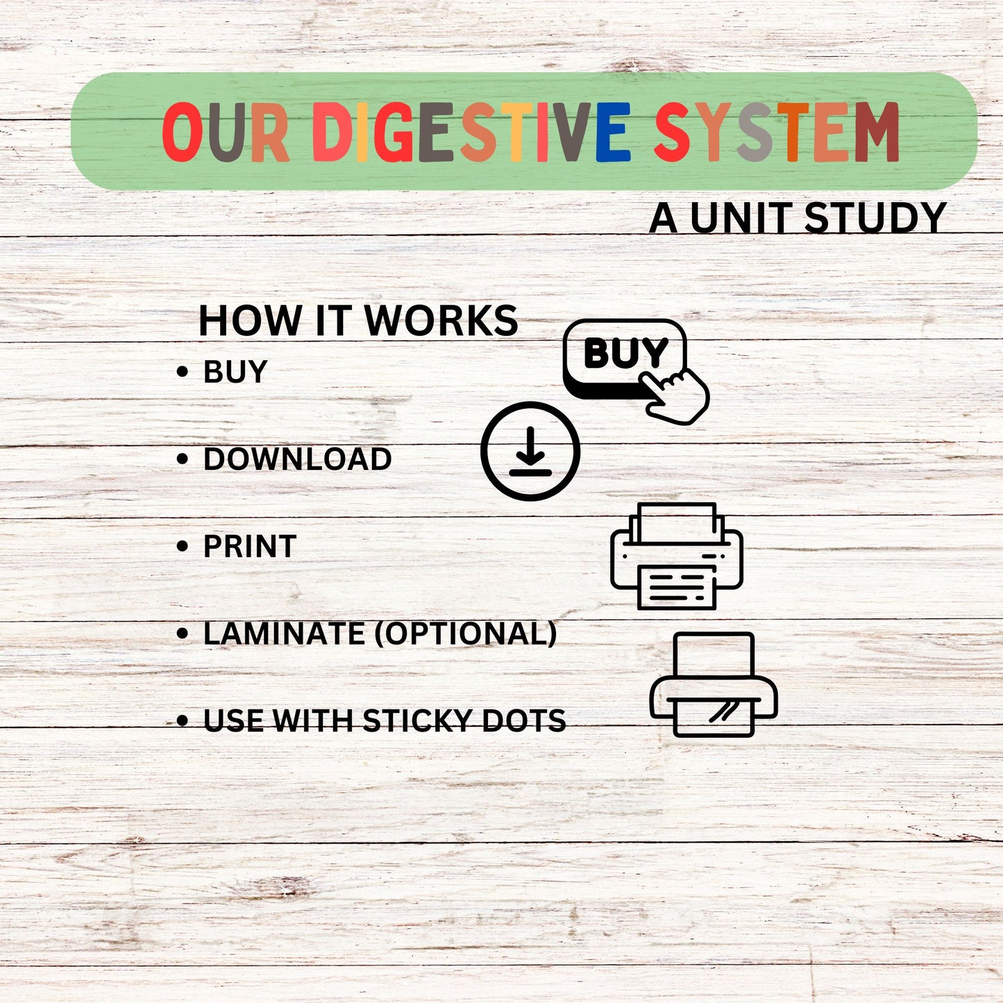 Digestive Adventure Unit Study | Kid-Friendly Digestive System Unit Study | Fun & Engaging Activities for Learning Digestion