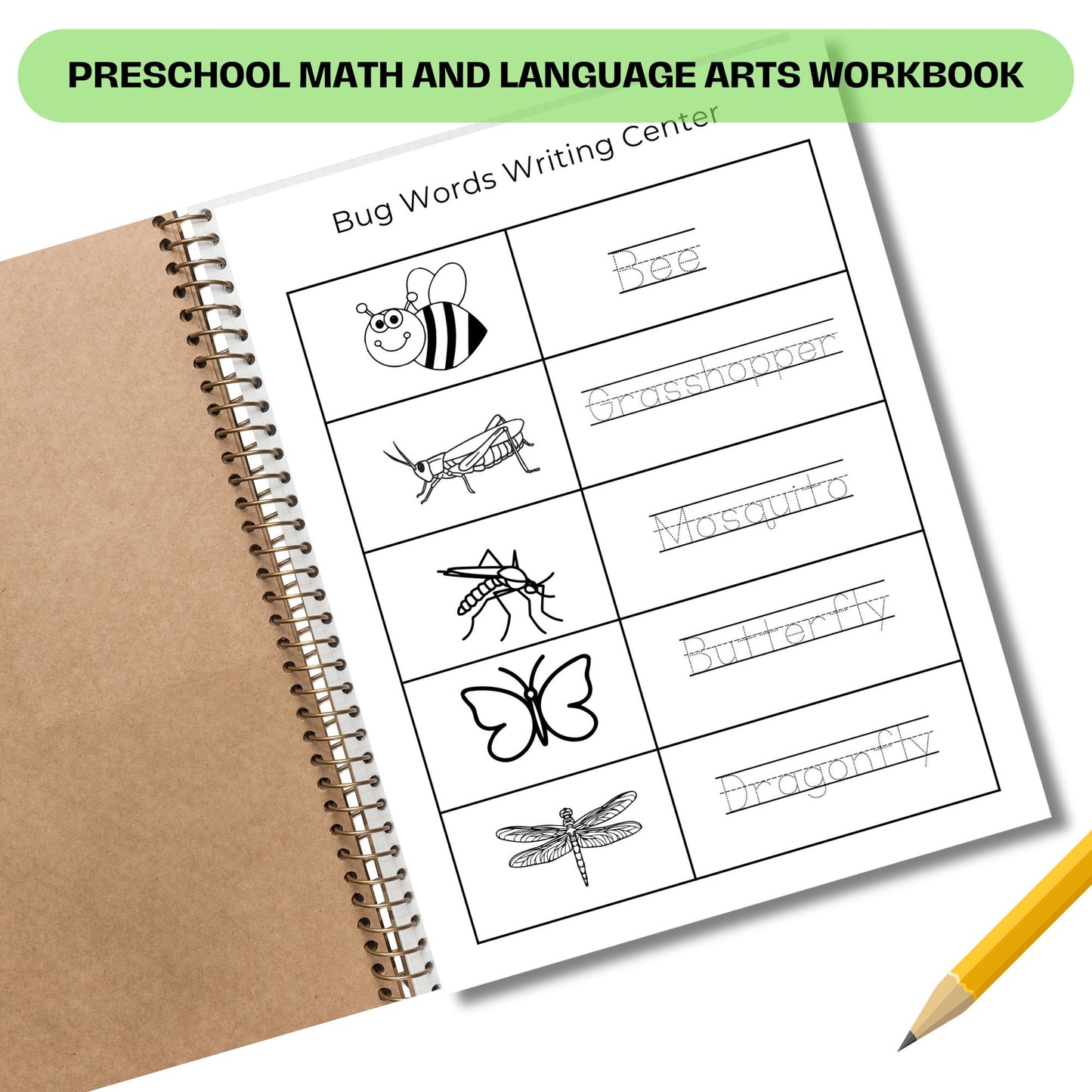 Printable Preschool Workbook | Insect Theme Toddler Activities | Homeschool Worksheets for Math and English