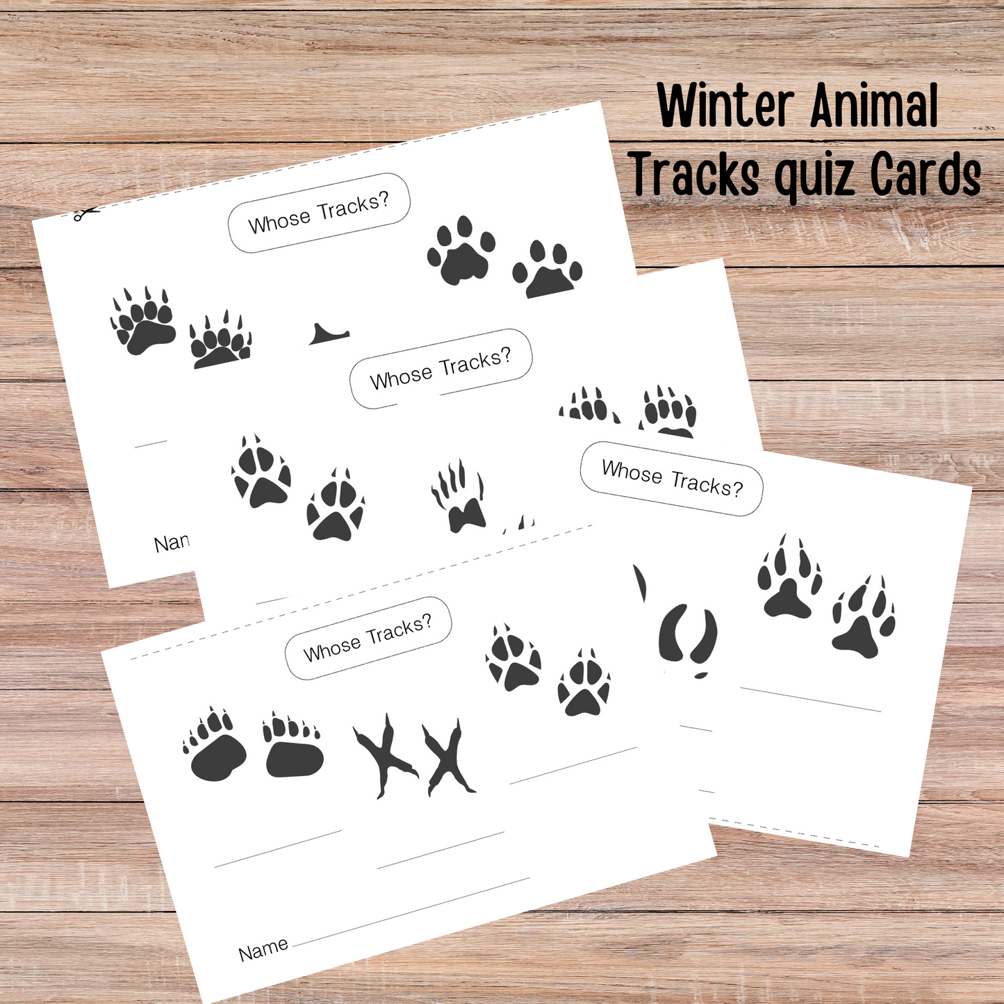 Winter Animals Unit Study Nature Learning Animals Tracks Homeschooling Busy Book Kids Learning Binder Red Fox Duck Badger Unit Study Kids