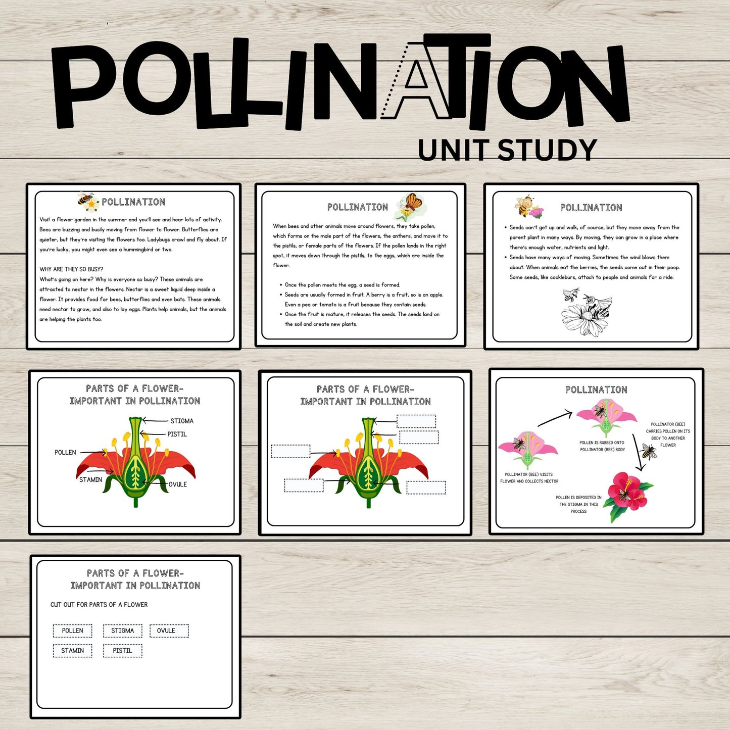 Insect and Pollination Unit Study Bundle – Butterfly, Bee, Ladybug, Flower Worksheets for Kids