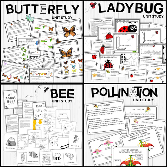 Insect and Pollination Unit Study Bundle – Butterfly, Bee, Ladybug, Flower Worksheets for Kids